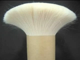 MakeUp Brush Goat Hair